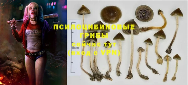 тгк Армянск