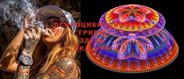 эйфоретик Арсеньев