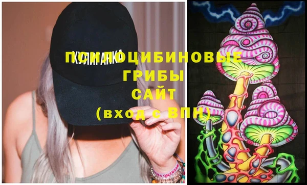 эйфоретик Арсеньев