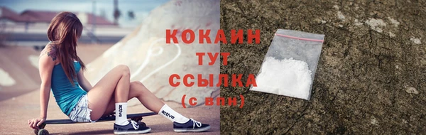 эйфоретик Арсеньев